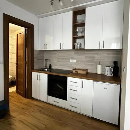 아파트 Vojvodic Borovi *