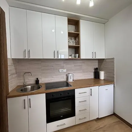 Vojvodic Borovi 아파트 *