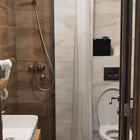 Appartamento Vojvodic Borovi *