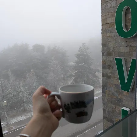 Apartmani Vojvodic Divcibare