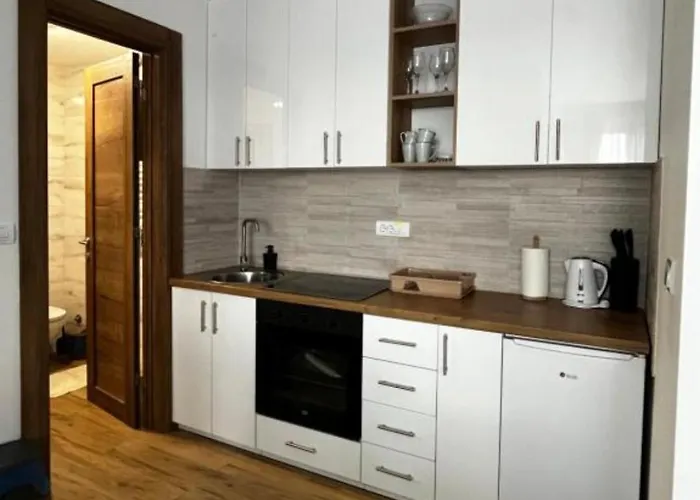 Апартаменты Apartmani Vojvodic Divcibare *