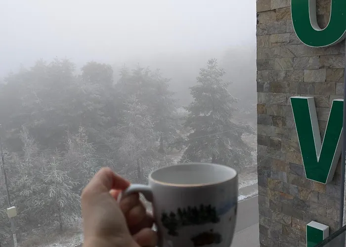 Apartmani Vojvodic Divcibare